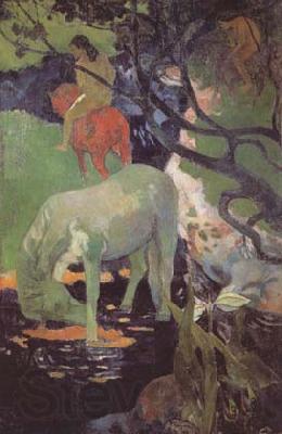 Paul Gauguin The White Horse (mk06) Spain oil painting art